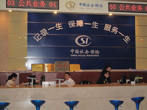 深圳社保代辦與代繳服務(wù)全解析 價(jià)格、選擇與合規(guī)指南